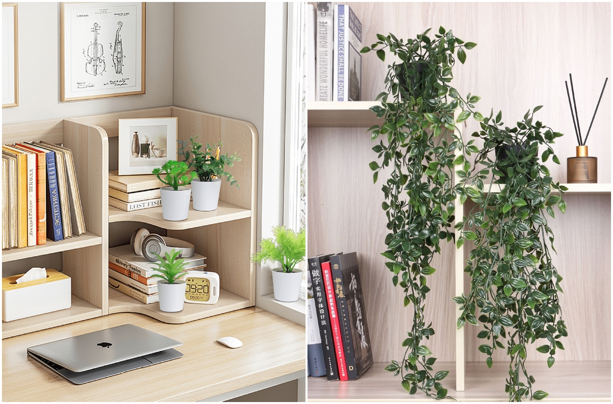 Como decorar sua mesa do escritório com plantas